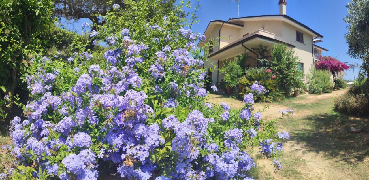 Pollutri La Casa Di Stefania 아파트 외부 사진